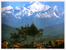 Sikkim Kanchenjunga Trekking