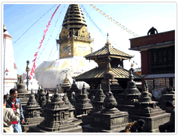Pilgrimage Tour