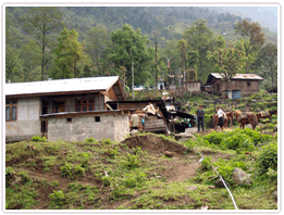 Village Tour in Sikkim
